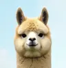 tirbaux's Avatar